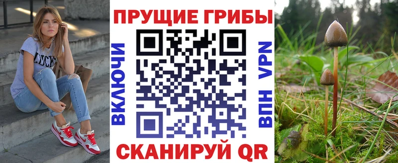 Псилоцибиновые грибы Psilocybine cubensis  Куса 
